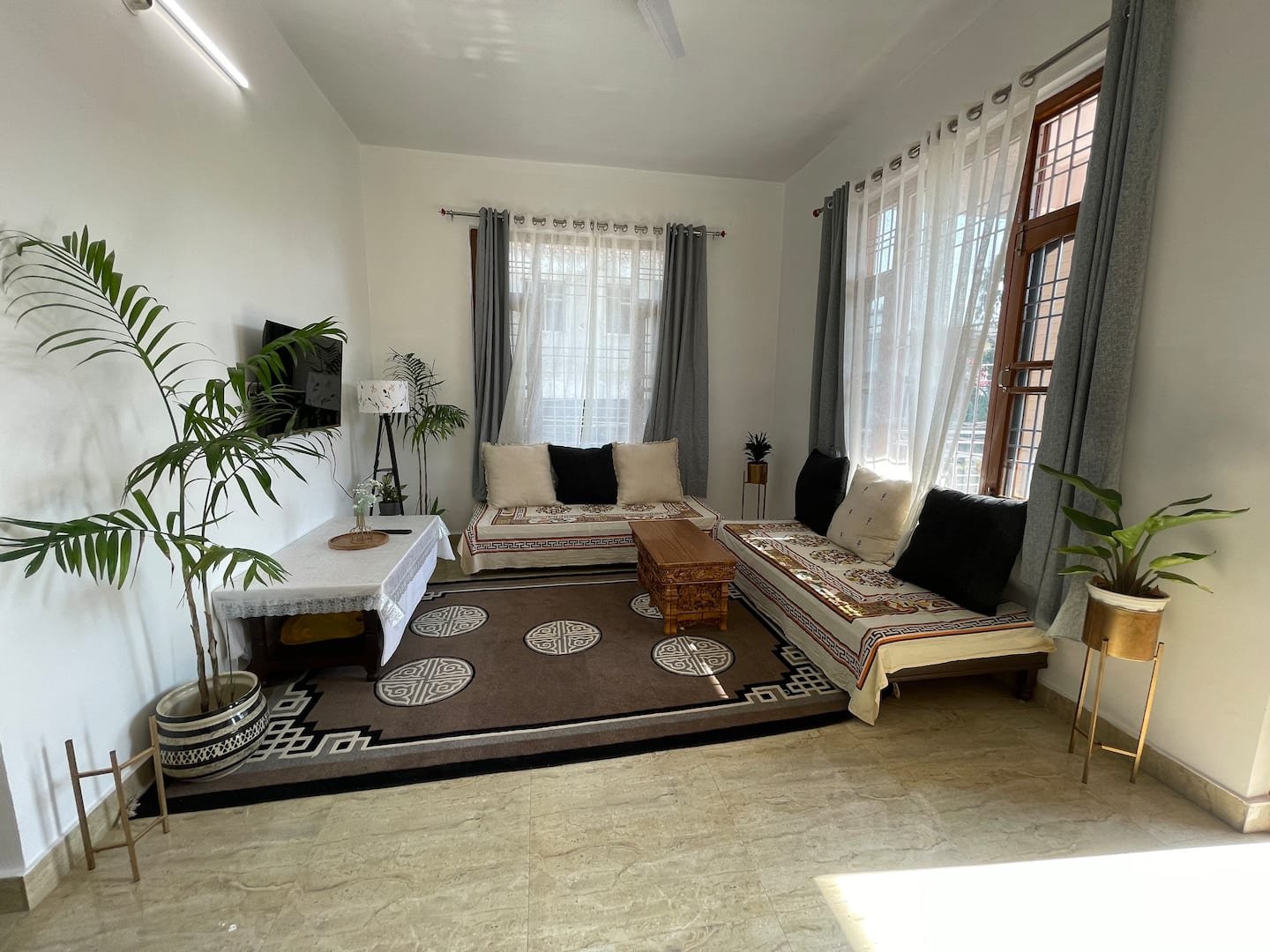 Sunlit living room with Tibetan rug and plants at Haven By Sonam